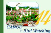 Canoe Bird Watch