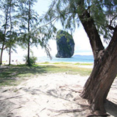 2Days 1Night Hatyai Krabi