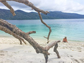 Lipe Island Day Trip