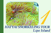 Hatyai Snorkeling Tour Lipe Island