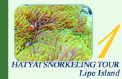 Hatyai Snorkeling Tour Lipe Island
