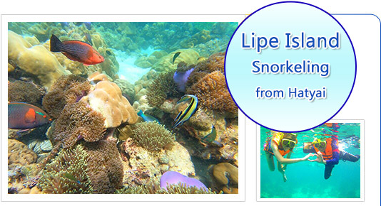 Lipe Island Snorkeling from Hatyai