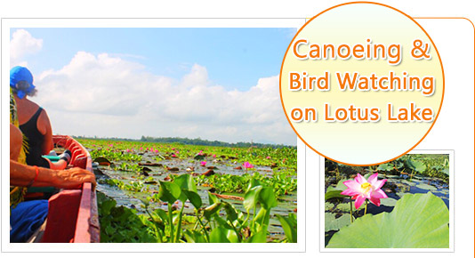 Canoeing Bird Watching on Lotus Lake