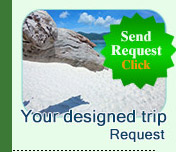 Send your designed trip request